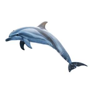 A joyful dolphin mid-leap, with soft gray and blue tones, isolated on a transparent background.