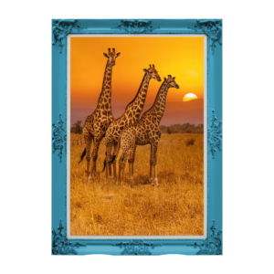 A cute cartoon giraffe wrapped around a rectangular photo space, ideal for children’s pictures or jungle-themed designs, with a transparent background.