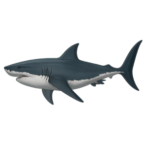 A cute cartoon-style shark with a big smile and friendly eyes, designed in soft blue colors on a transparent background.