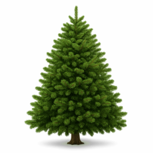 Transparent PNG of decorated Christmas tree with ornaments and lights.