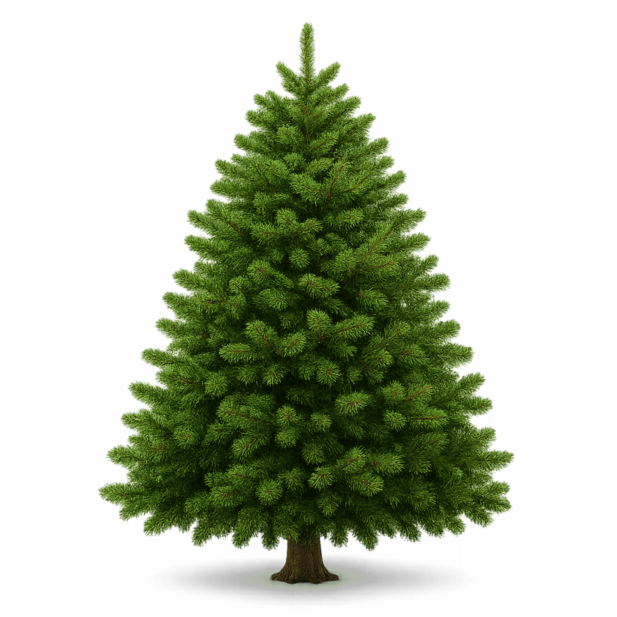 PNG Preview