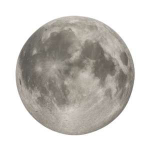Realistic Moon illustration on transparent background.