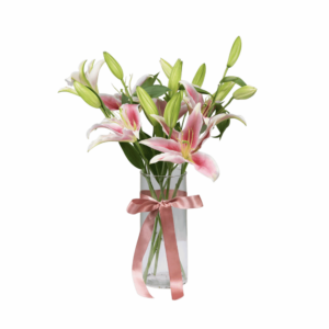 Transparent PNG of a beautiful pink oriental lily flower with soft petals and elegant detailing.