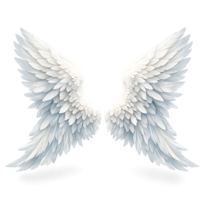 Angel Wings PNG