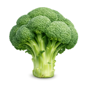 Broccoli PNG