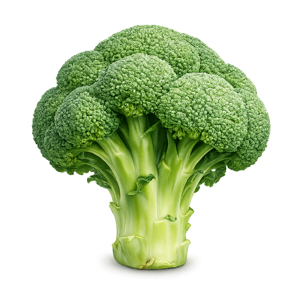 Broccoli PNG