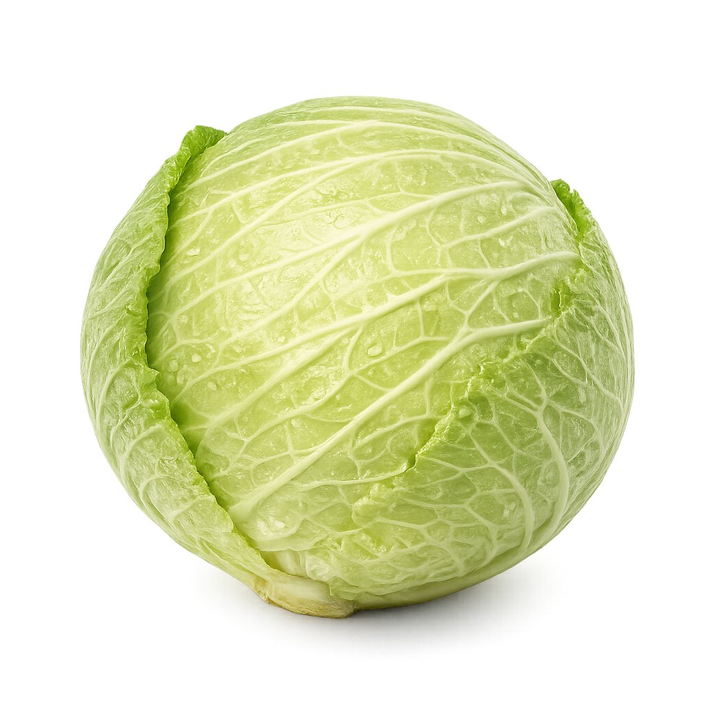 Cabbage PNG