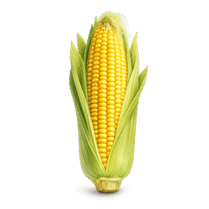 Corn PNG