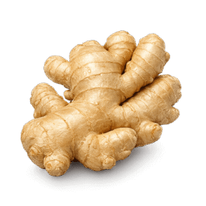 Ginger PNG