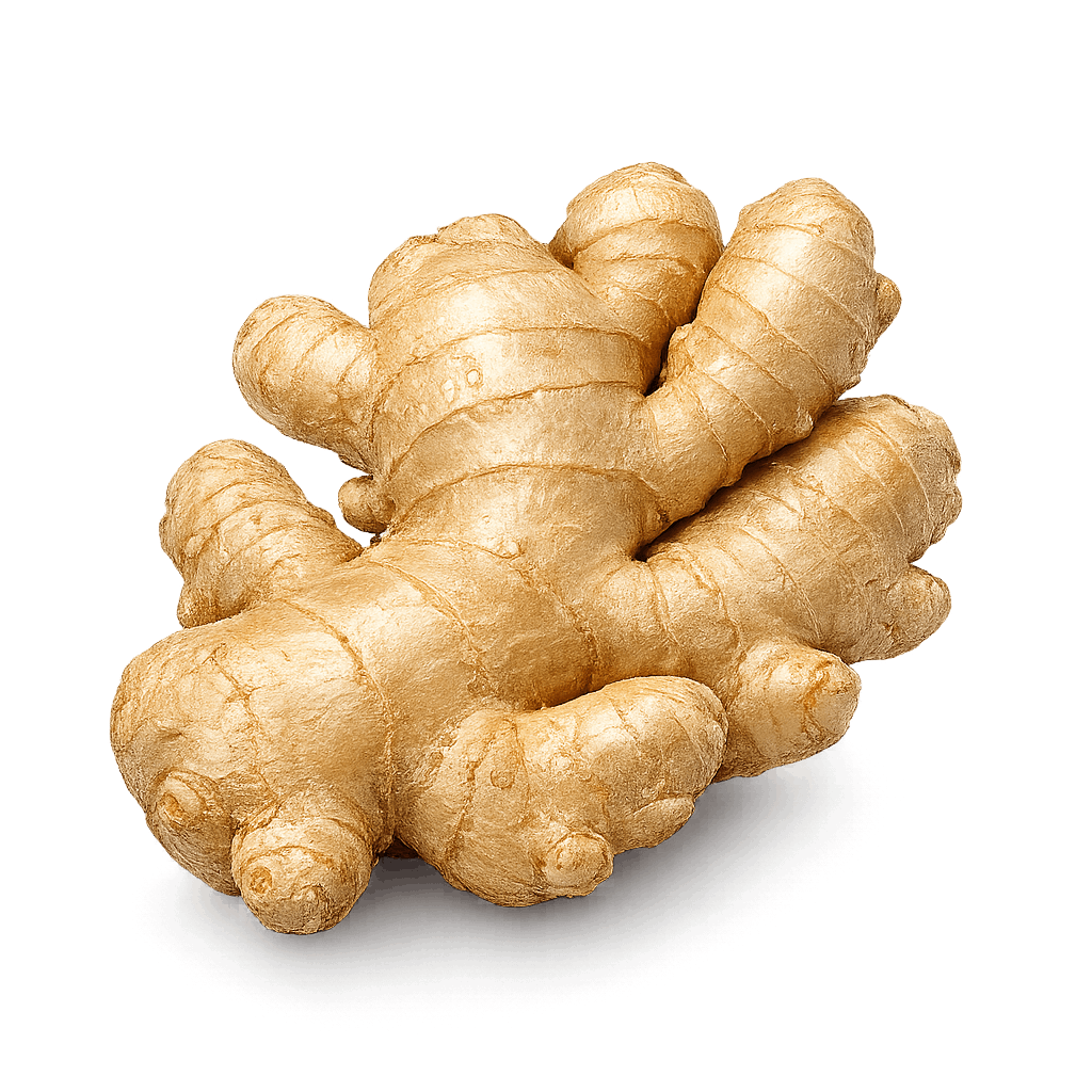 Ginger PNG