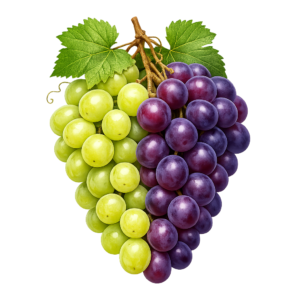 Grapes PNG