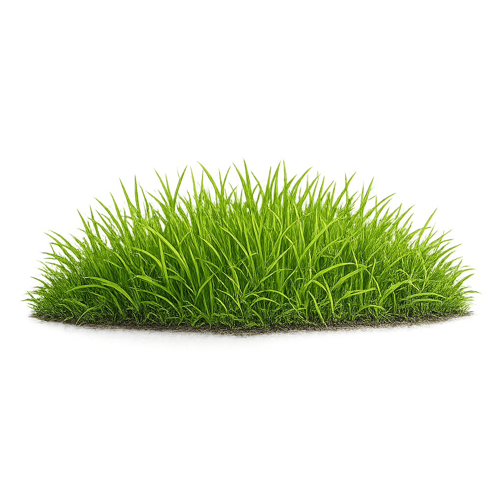 Grass PNG