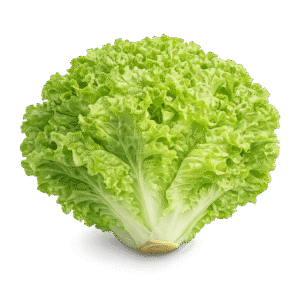 Lettuce PNG