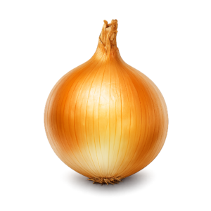 Onion PNG