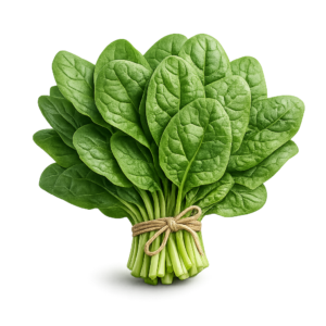 Spinach PNG