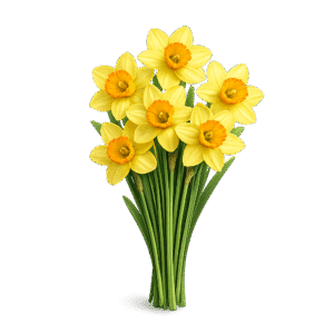 Daffodil PNG