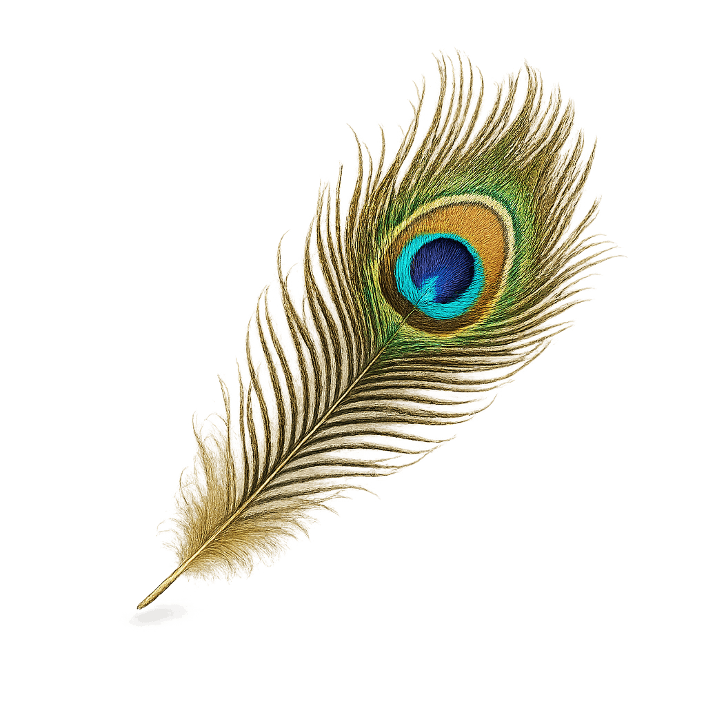 Peacock Feather PNG