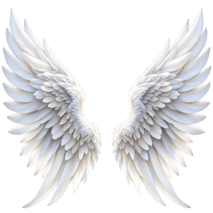 PNGWings